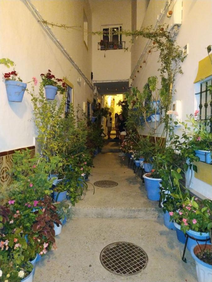 Casa Jurel Apartment Conil De La Frontera Luaran gambar